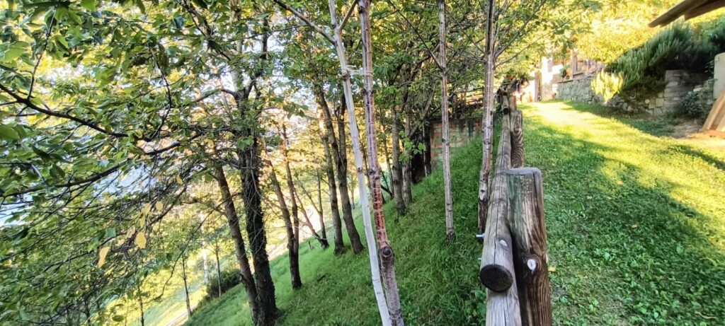 Fotografia 15 di Azienda agricola in Valle d’Aosta – oltre 4 ettari, fabbricati rurali, acqua e impianto fotovoltaico