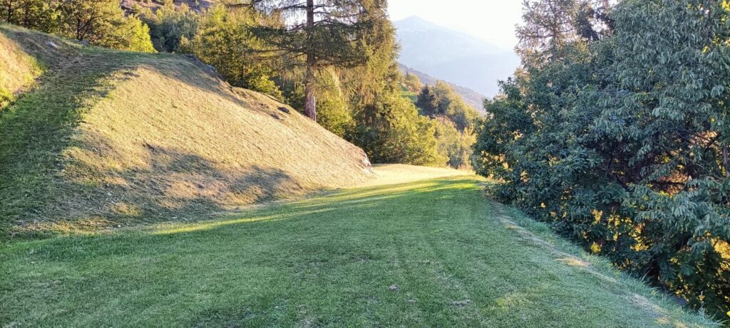 Fotografia 16 di Azienda agricola in Valle d’Aosta – oltre 4 ettari, fabbricati rurali, acqua e impianto fotovoltaico
