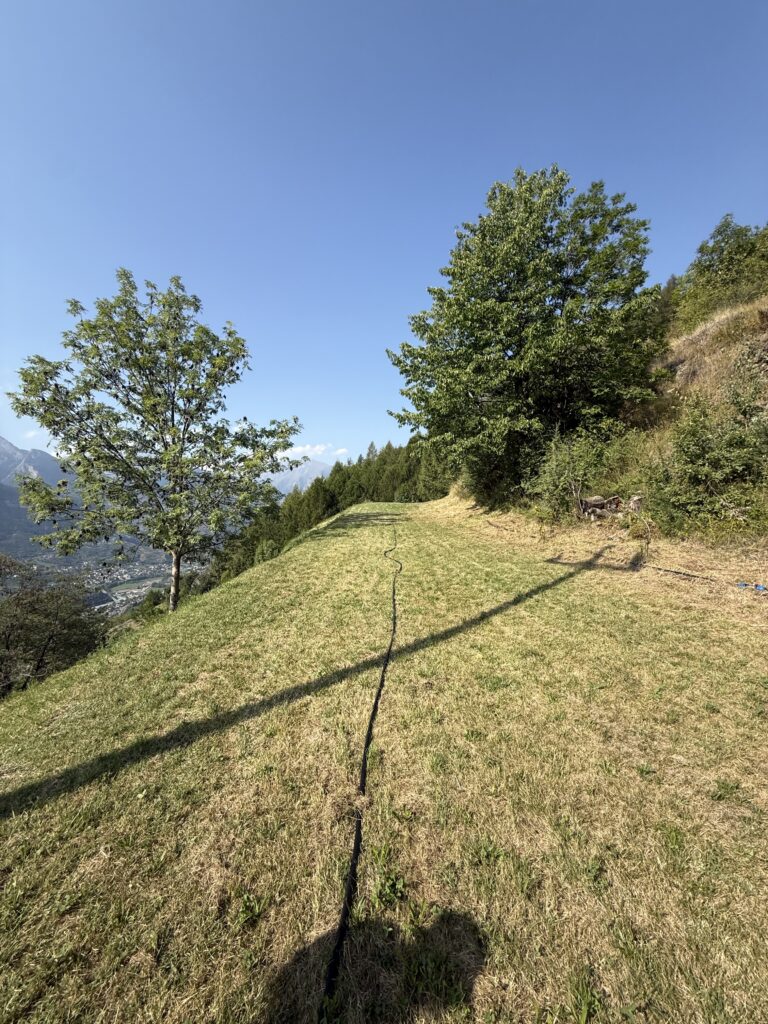 Fotografia 14 di Azienda agricola in Valle d’Aosta – oltre 4 ettari, fabbricati rurali, acqua e impianto fotovoltaico