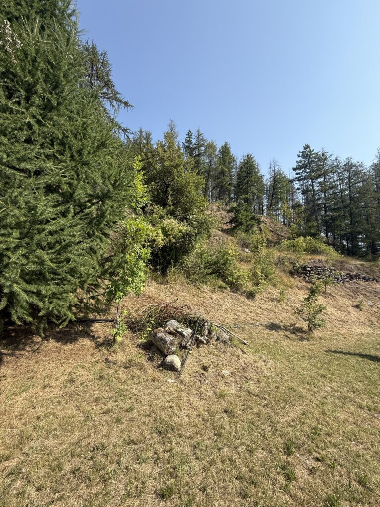 Fotografia 12 di Azienda agricola in Valle d’Aosta – oltre 4 ettari, fabbricati rurali, acqua e impianto fotovoltaico
