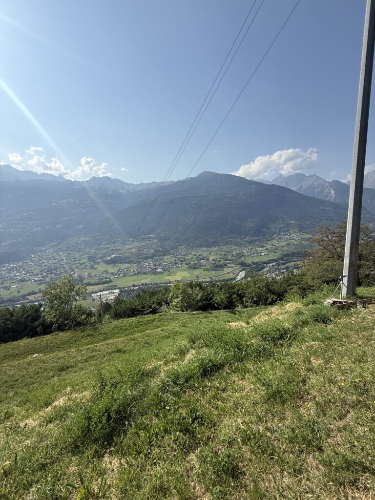 Fotografia 17 di Azienda agricola in Valle d’Aosta – oltre 4 ettari, fabbricati rurali, acqua e impianto fotovoltaico