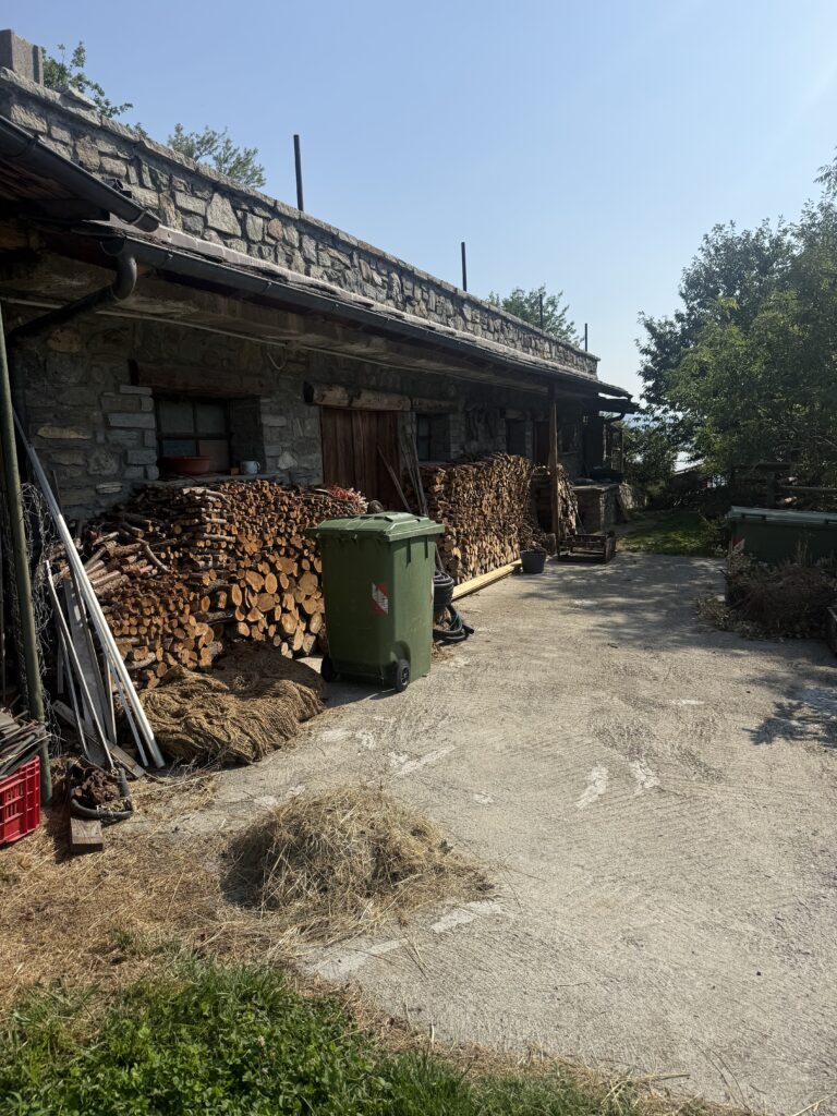 Fotografia 8 di Azienda agricola in Valle d’Aosta – oltre 4 ettari, fabbricati rurali, acqua e impianto fotovoltaico