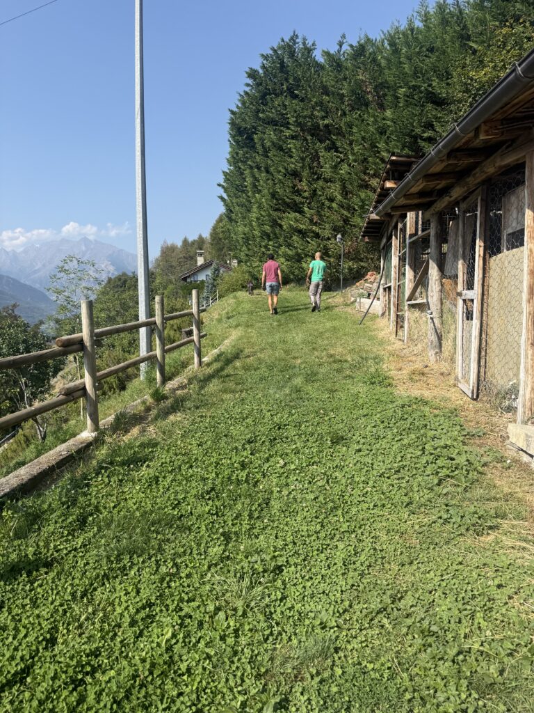 Fotografia 3 di Azienda agricola in Valle d’Aosta – oltre 4 ettari, fabbricati rurali, acqua e impianto fotovoltaico