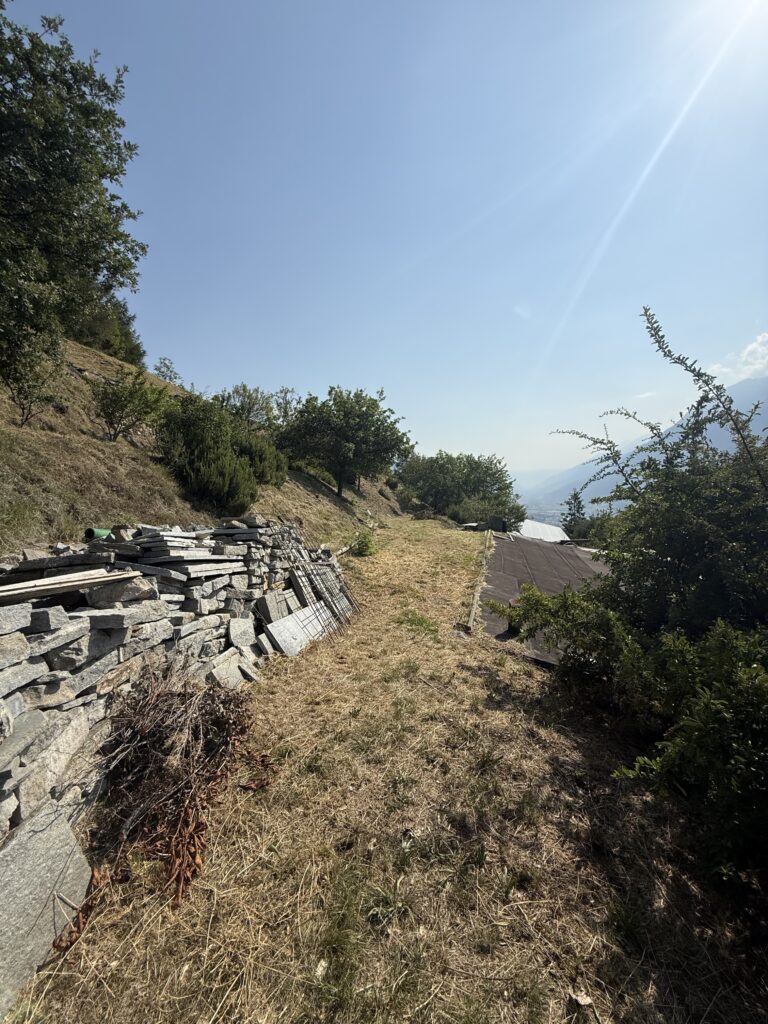 Fotografia 13 di Azienda agricola in Valle d’Aosta – oltre 4 ettari, fabbricati rurali, acqua e impianto fotovoltaico