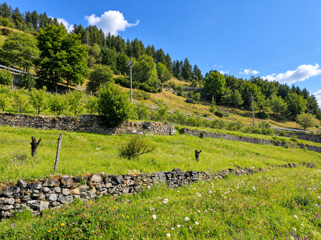 Fotografia 6 di Azienda agricola in Valle d’Aosta – oltre 4 ettari, fabbricati rurali, acqua e impianto fotovoltaico